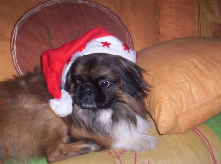 Roxy
