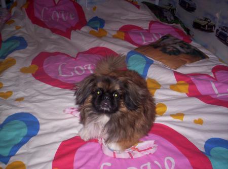 Roxy (d&eacute;cembre 2005)